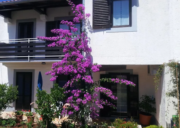 Apartments Barac